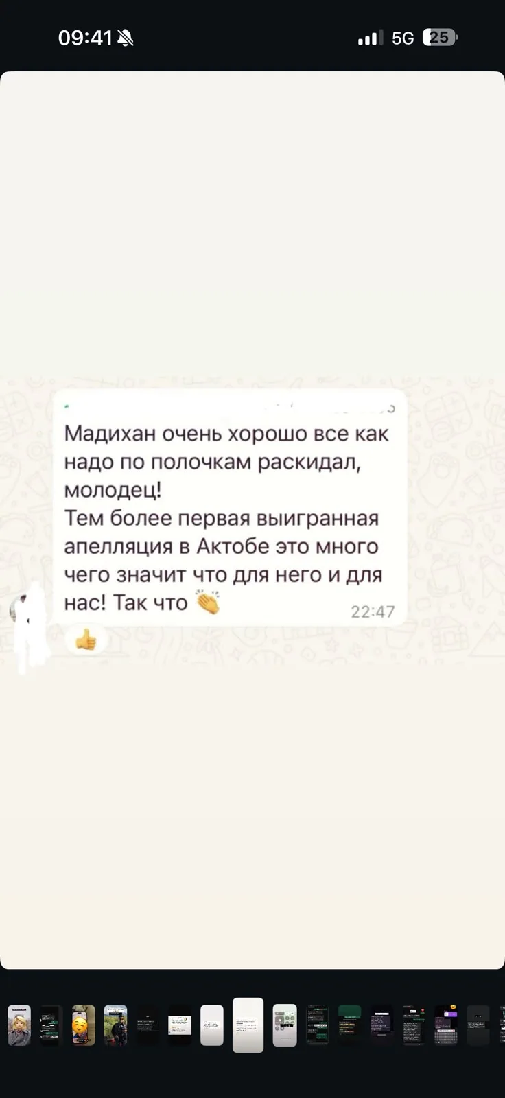 Отзыв клиента №8 — скриншот переписки