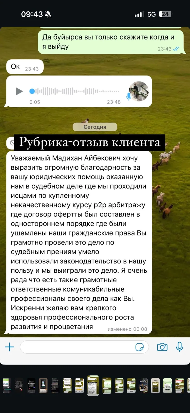 Отзыв клиента №11 — скриншот переписки