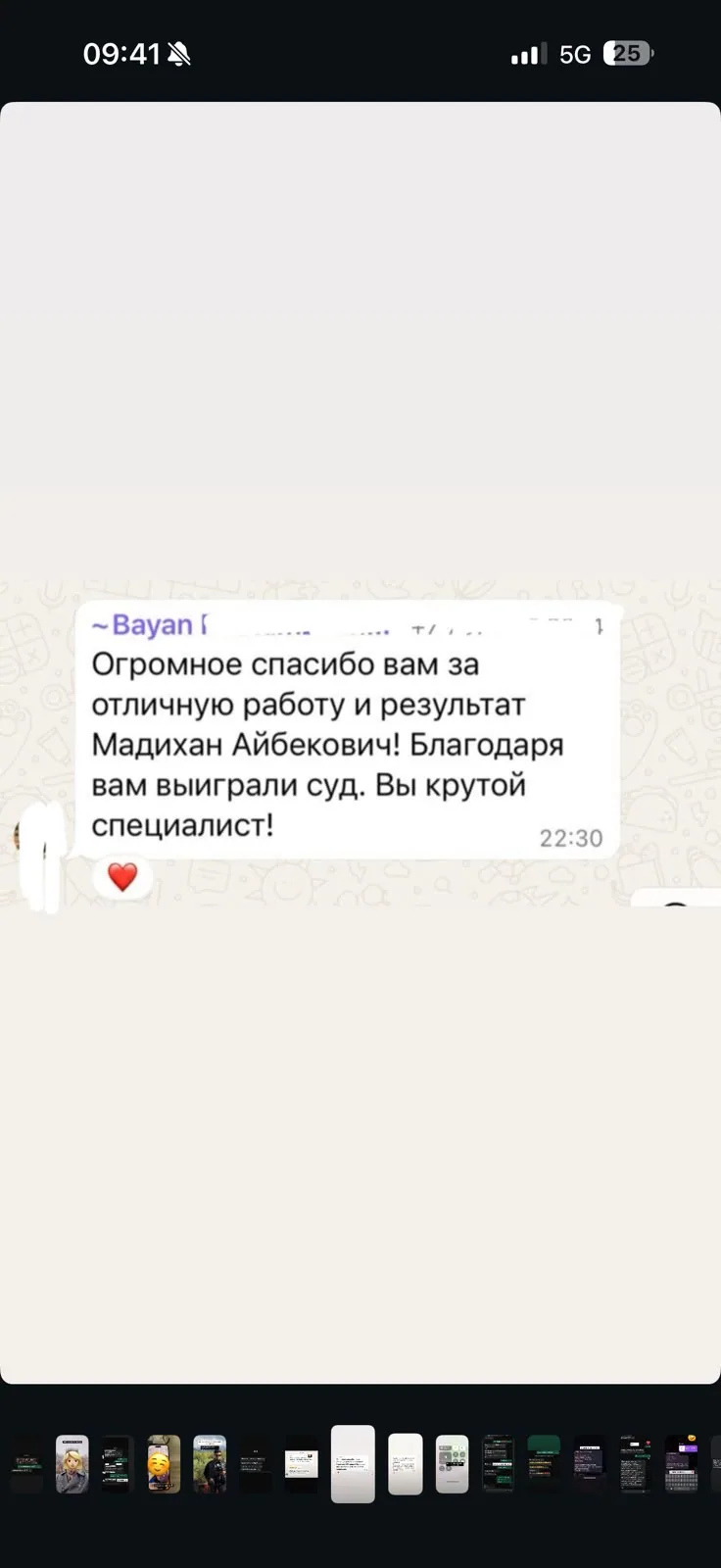 Отзыв клиента №15 — скриншот переписки