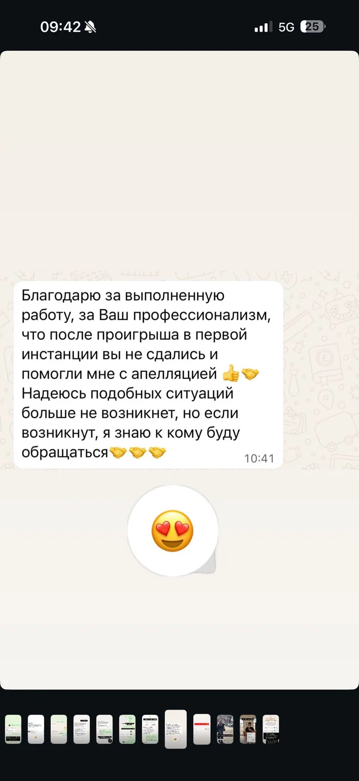 Отзыв клиента №23 — скриншот переписки